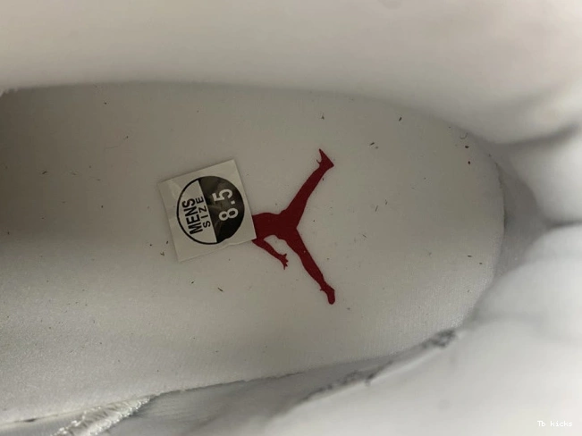 Reps TBK 6 CT8529-162 Jordan Retro Hare 0805